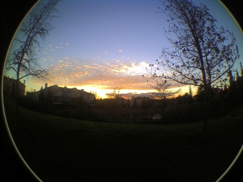 POST_fisheye1